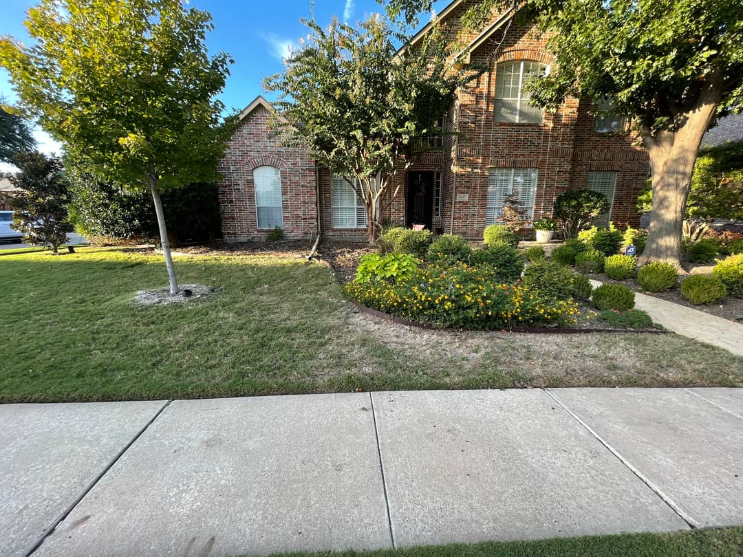Brick house with well-maintained garden and flowering plants on a sunny day.