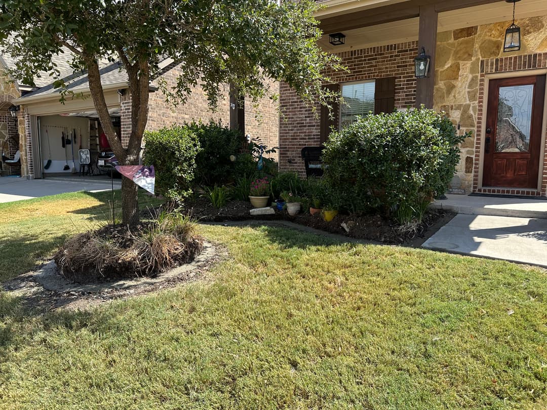 Front yard landscaping with a tree, shrubs, and flower pots near a brick home entrance.